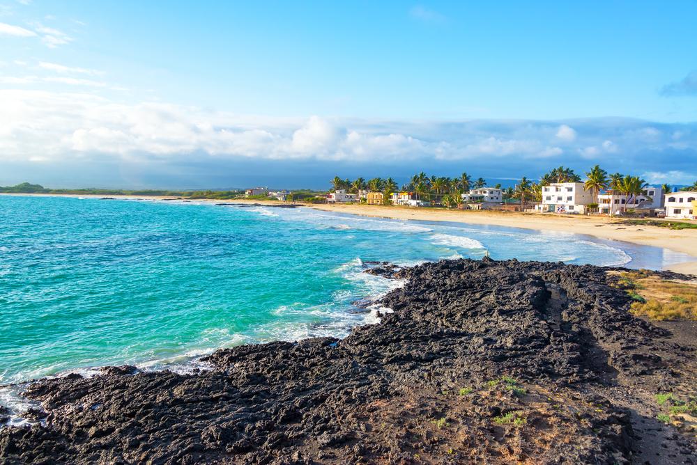 Isabela Island, the Galapagos Islands, Ecuador