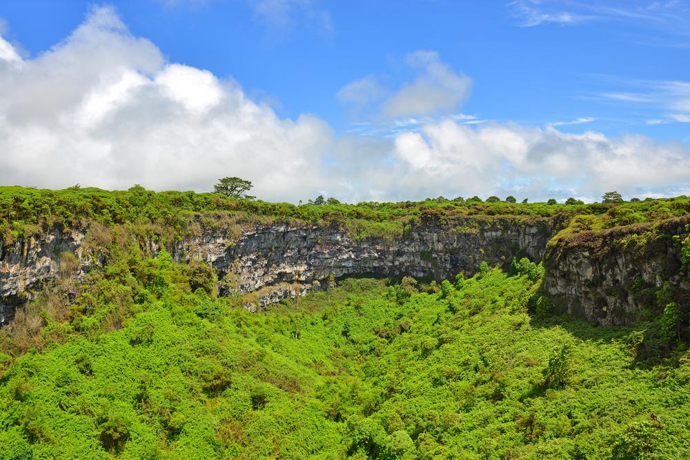 Los Gemelos, Santa Cruz island, Galapagos islands national park, Ecuador