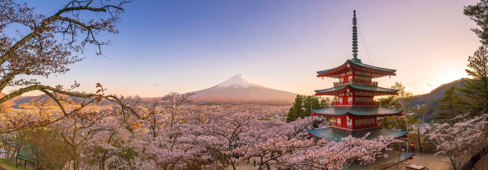 Mount Fuji and the red Chureito pagoda with cherry blossoms (sakura), Japan