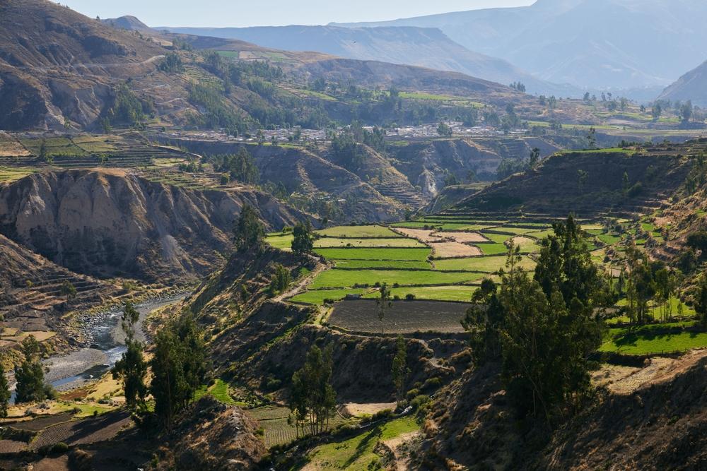 Colca Canyon, Peru