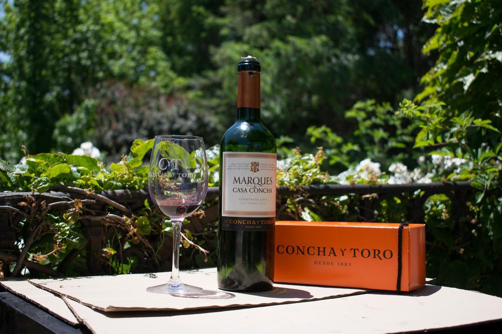 Chilean brand wine Concha y Toro, Chile