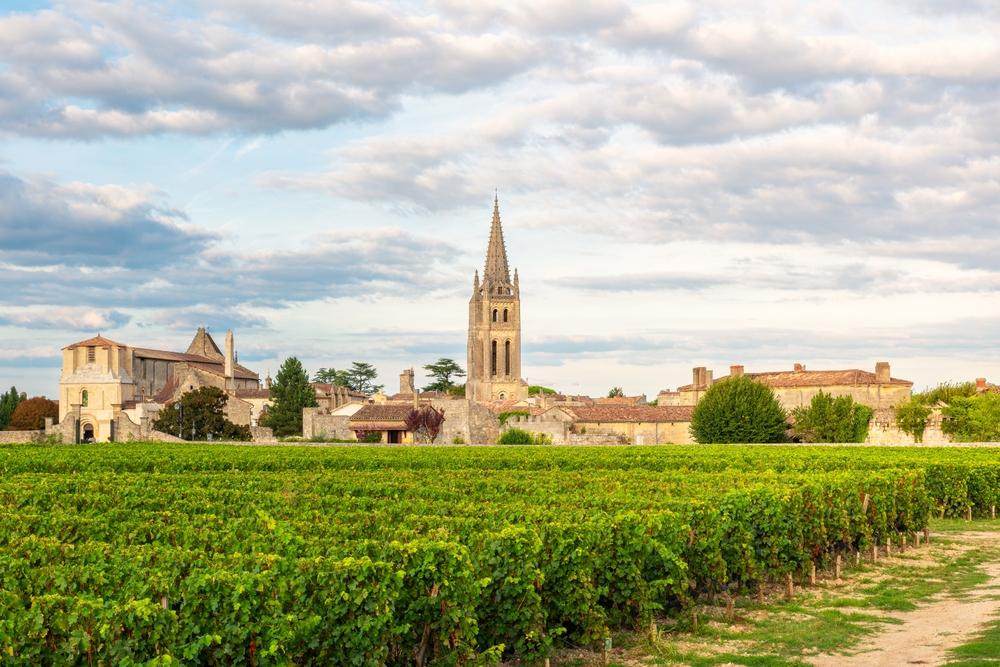 Vineyards of Saint Emilion, Bordeaux, France