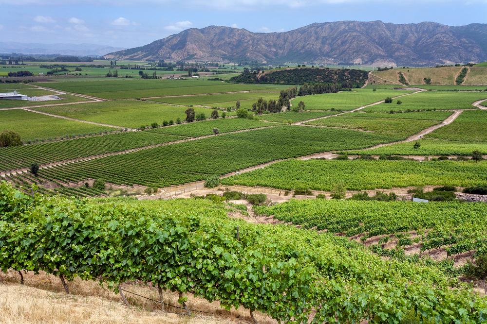 Colchagua Valley, Chile