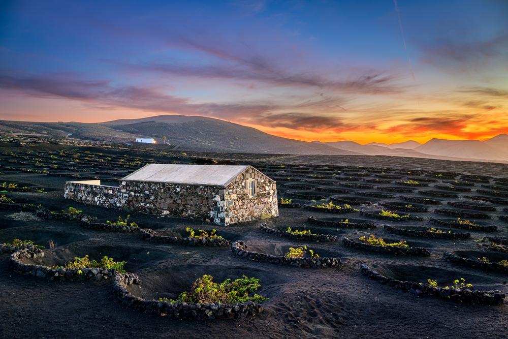 La Geria, Lanzarote, Canary Islands, Spain