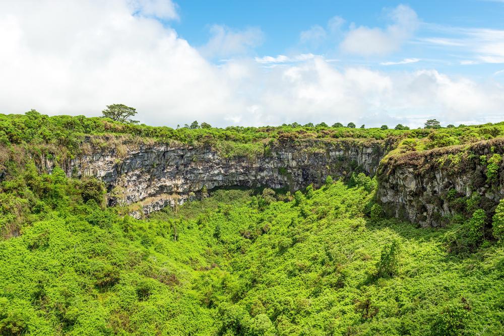 Los Gemelos, Santa Cruz Island, Galapagos, Ecuador