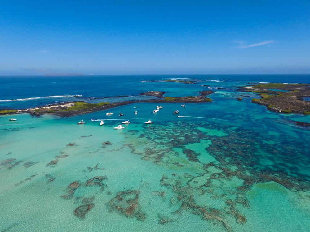 Isabela Island Galapagos Islands, Ecuador