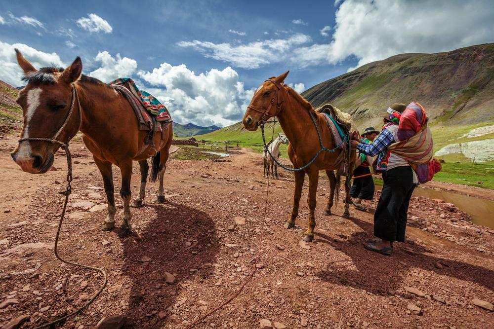 Horseback ride, Peru
