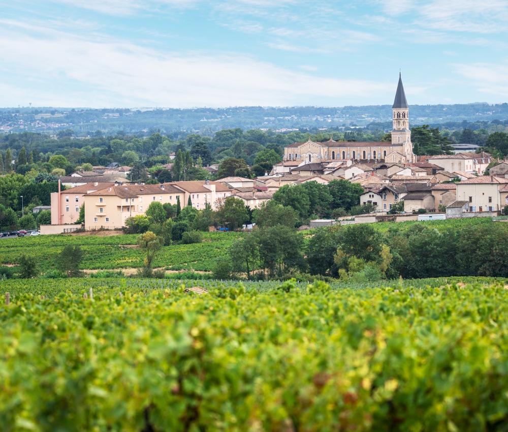 Romaneche-Thorins, Beaujolais, France