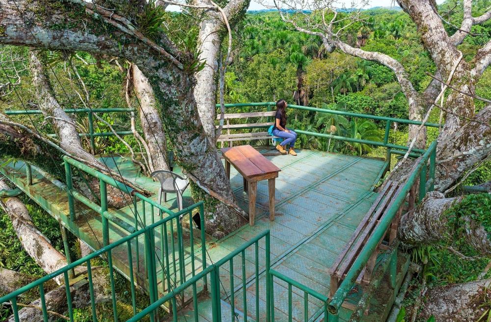 Young tourist enjoying the view over the Amazon rainforest, Yasuni National Park, Ecuador