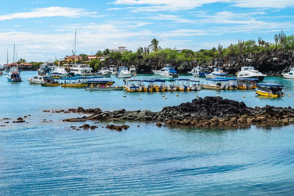 Puerto Ayora Harbour View, Santa Cruz Island, Galapagos Islands