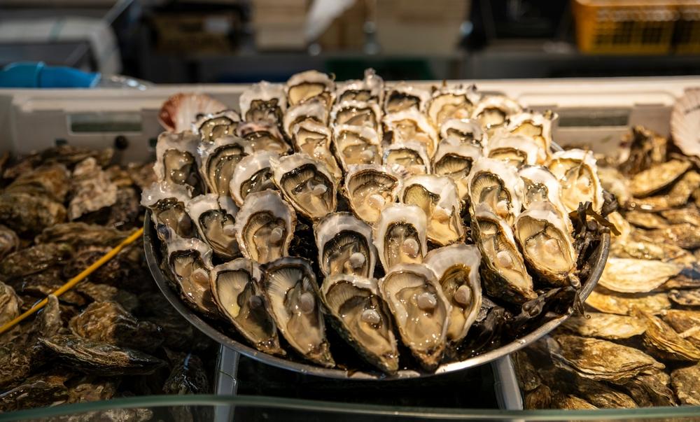 A tray of oysters in Cap Ferret, Arcachon, France