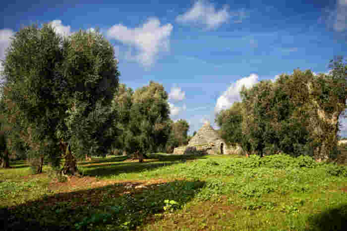 Puglia