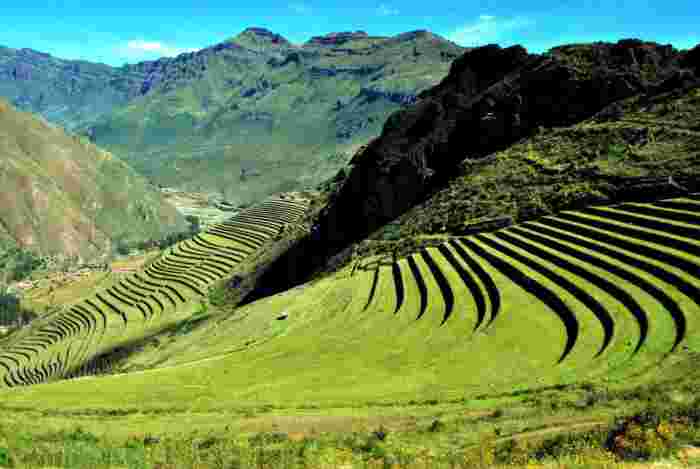Green agricultural terraces carved into the mountainside in rural Peru under a clear sky.