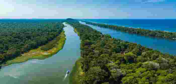 Aerial view of Tortuguero canals winding through dense jungle near the Caribbean coast