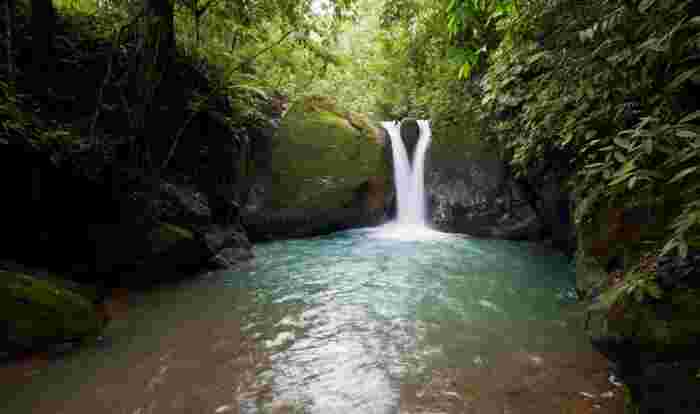 Small waterfall flowing into a clear green pool surrounded by dense rainforest and mossy rocks