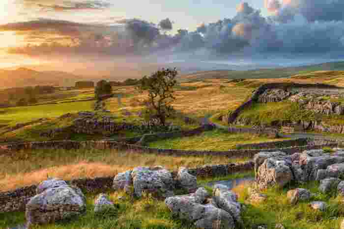 image Golden sunset over the Yorkshire Dales landscape with dry stone walls, limestone boulders, a winding country road, and rolling moorland hills.