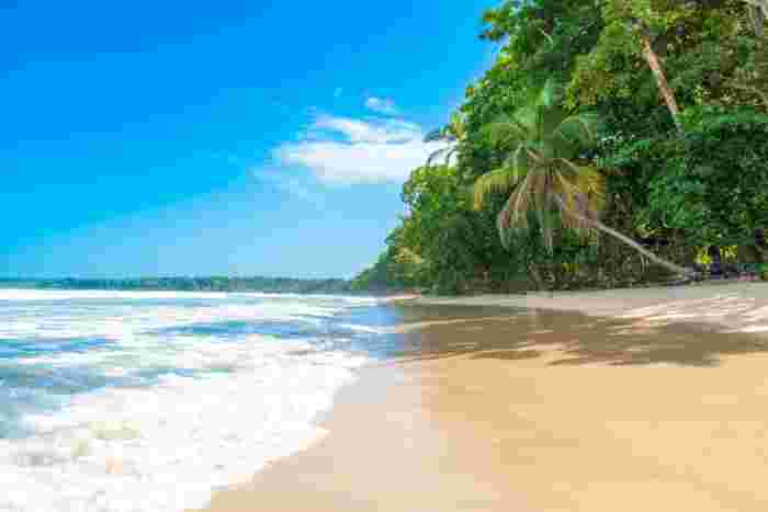 Wide tropical beach in Costa Rica with dense jungle backing and waves washing onto golden sand