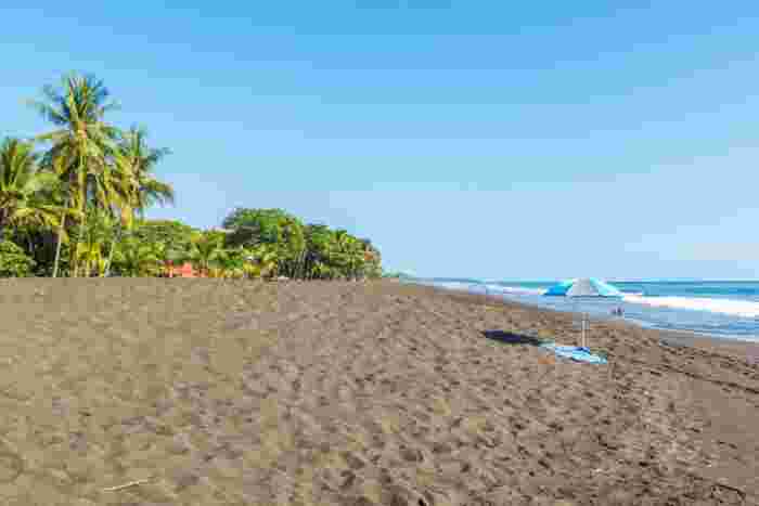 Black sand beach on Costa Rica’s Pacific coast with palm trees and a lone umbrella by the ocean