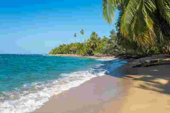 Remote Caribbean coastline in Costa Rica with leaning palm trees and waves rolling onto the sand