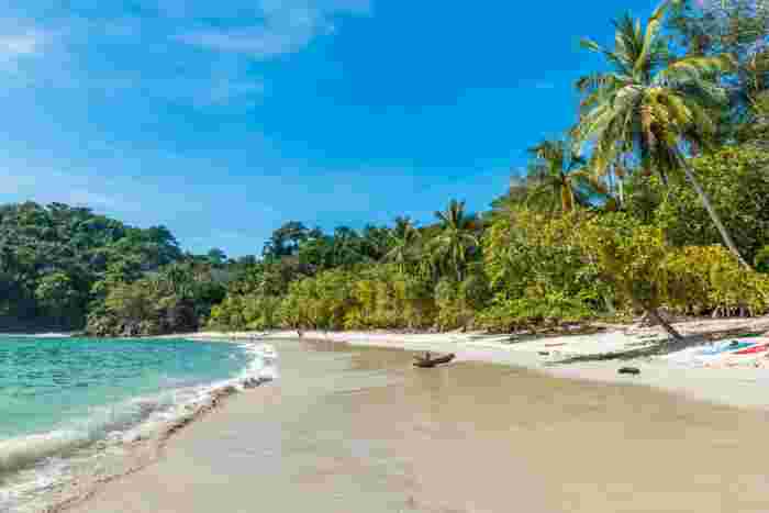 ecluded jungle beach in Costa Rica with soft sand and lush greenery reaching the shoreline