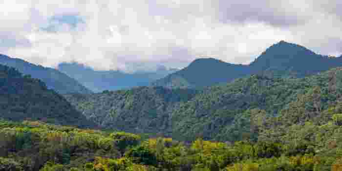 Misty green mountain landscape in the Ecuadorian Andes with dense tropical forest and low-hanging clouds 