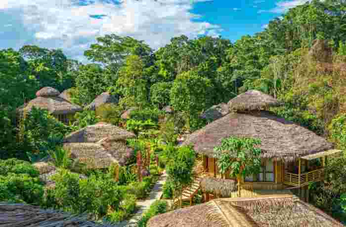 Traditional eco-lodge huts surrounded by lush Amazon rainforest vegetation in the Ecuadorian jungle 