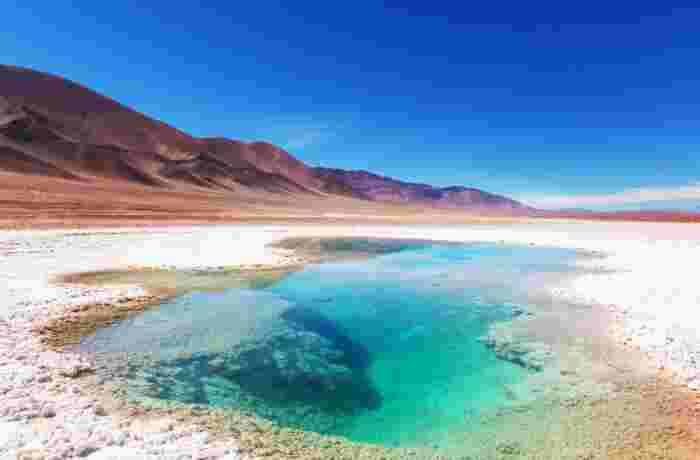 Turquoise salt lagoon in the Puna desert of northwestern Argentina