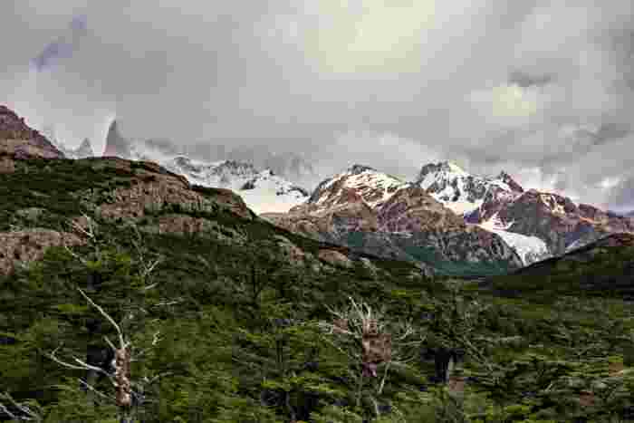Fitz Roy mountain range and Patagonian forest landscape in Los Glaciares National Park, Argentina 