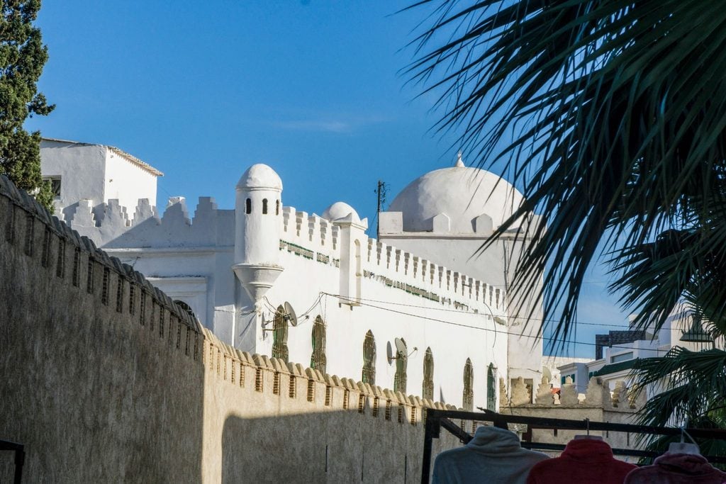 Domed white kasbah walls framed by a palm tree against a blue sky 