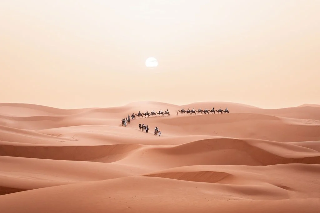 Camel caravan crossing red Sahara dunes beneath a hazy setting sun