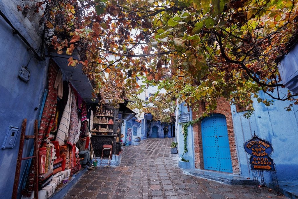 Vine-covered alley lined with rugs and a blue door in Chefchaouen 