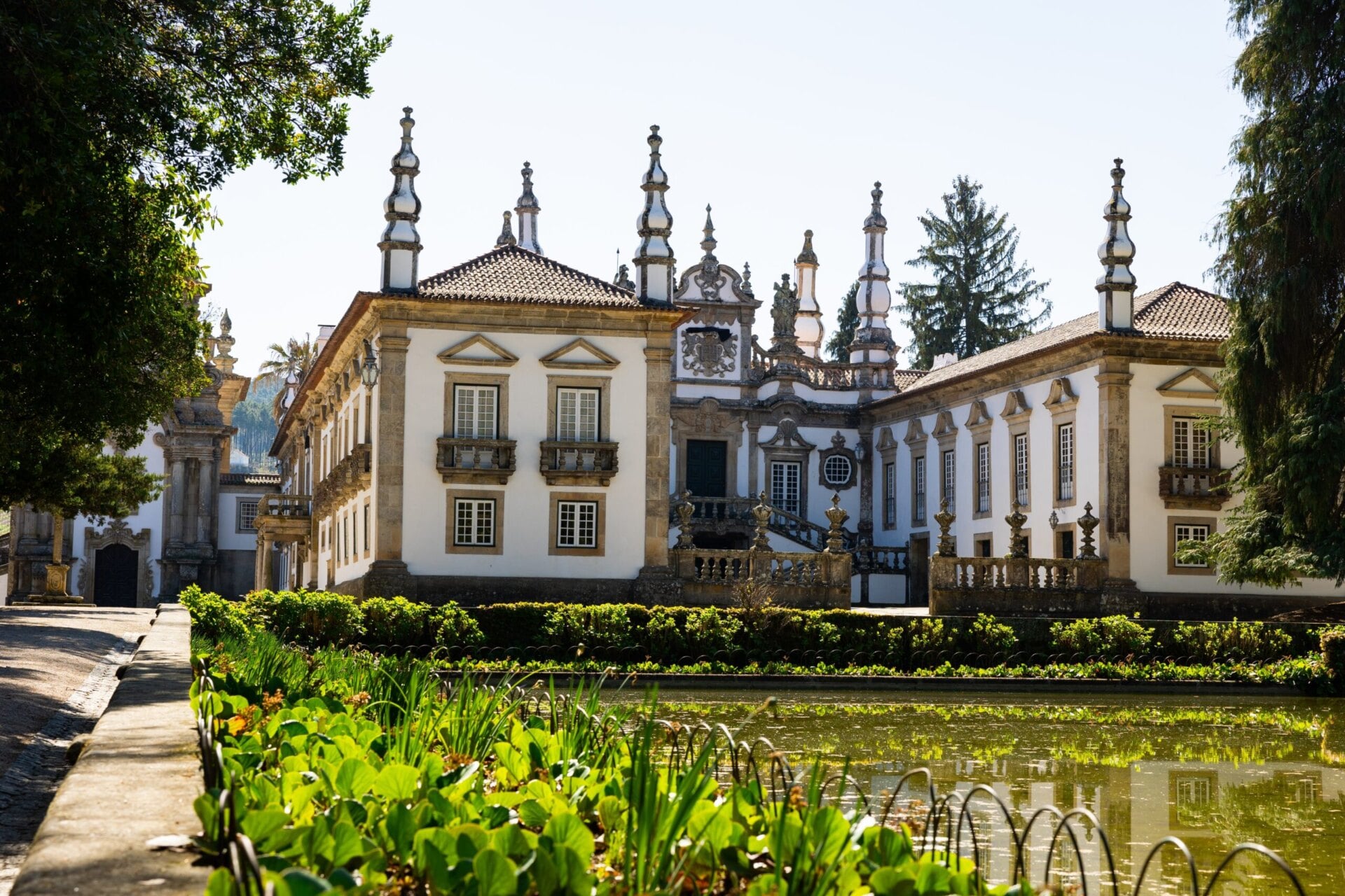 Baroque Mateus Palace in Vila Real with white facades, granite trim and ornate white pinnacles, seen across a garden pond with green plants in the foreground