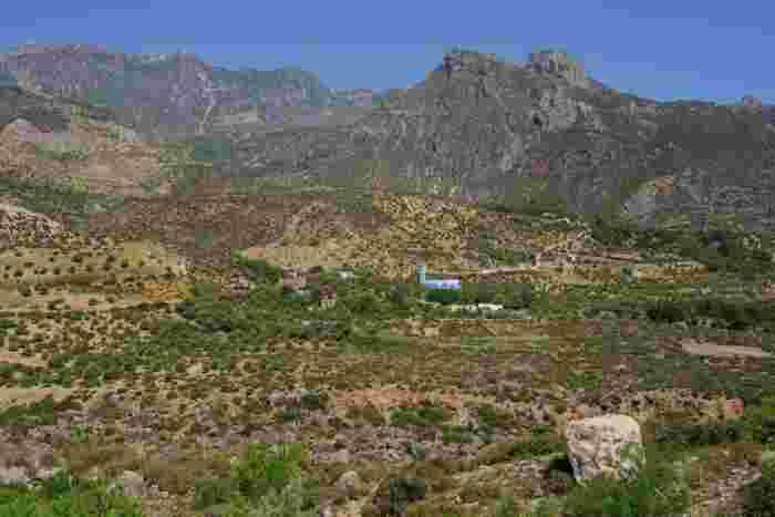Green valley dotted with olive groves and a small village with a blue-topped minaret, framed by rugged Rif mountains.