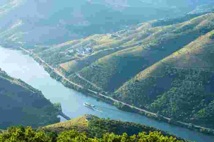 River cruise boat sailing along the Douro River between terraced vineyard hillsides in soft sunlight