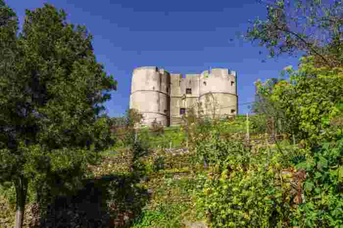 Renaissance,Castle,,Evoramonte,(,Council,Of,Estremoz),,Alentejo,,Portugal,,Europe Renaissance castle of Evoramonte in the municipality of Estremoz, Alentejo, Portugal