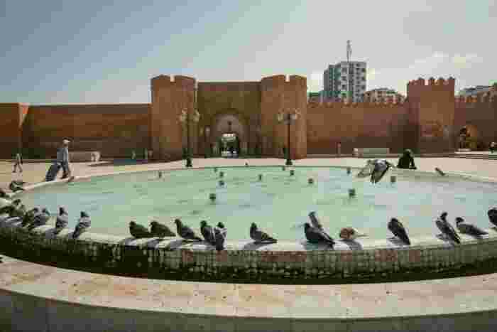 Pigeons lined up along a round fountain in front of the Bab el Had gate and the red city walls of Rabat.